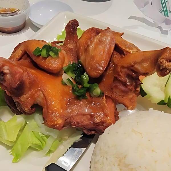 Whole roasted chicken with green onions, lettuce, cucumber slices, and white rice on a plate.